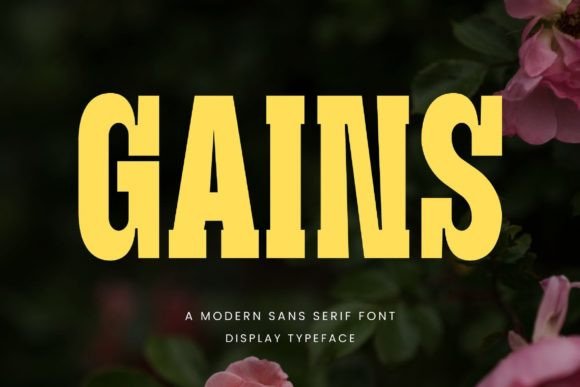 Gains Font for Modern Branding