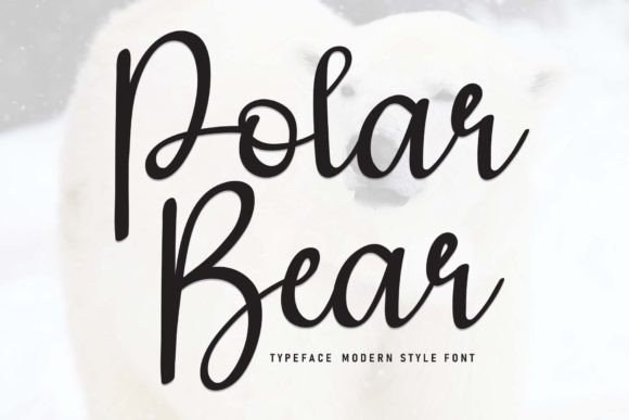 Polar Bear Font for Creative Brands