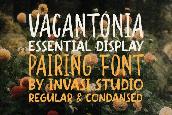 Vacantonia: A Brush Font for Branding